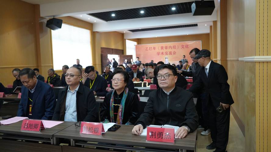 乙巳年黄帝内经文化学术交流会成功举办